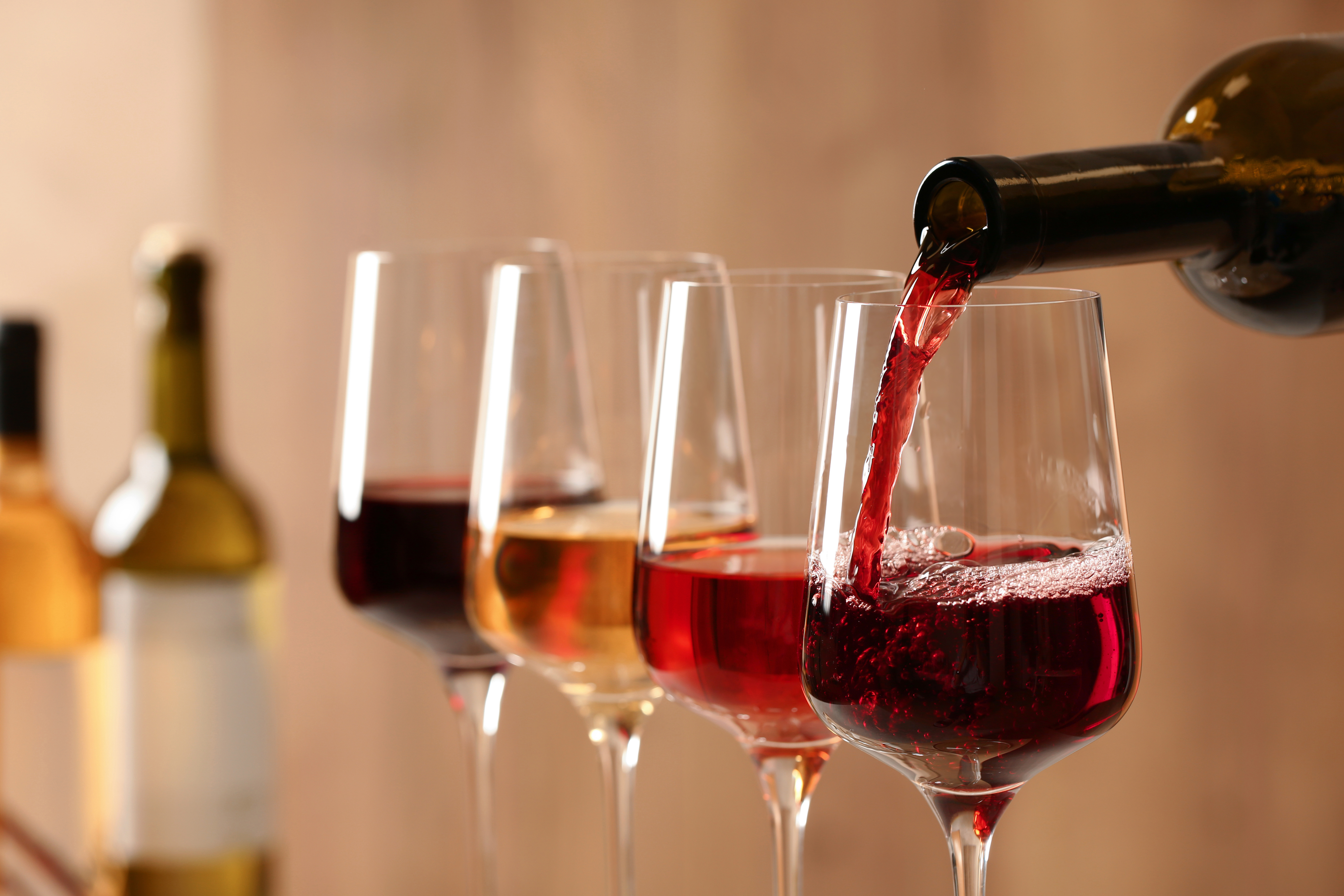 L’art de la dégustation du vin : méthode complète pour comprendre et apprécier